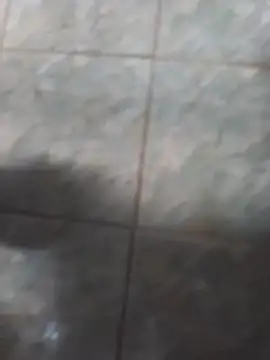 rgsnakan online show from January 15, 3:25 pm