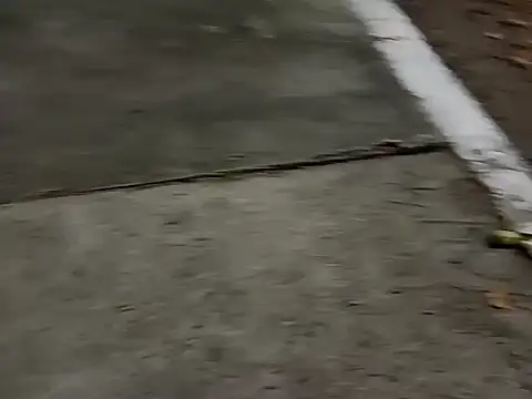 roludao fun online show from December 4, 10:06 pm