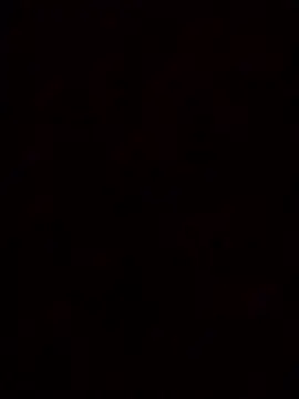 4idin0000 online show from November 7, 4:49 am