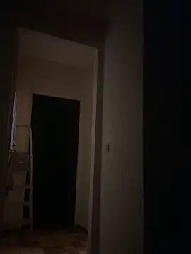 bart98geil online show from January 7, 4:28 am