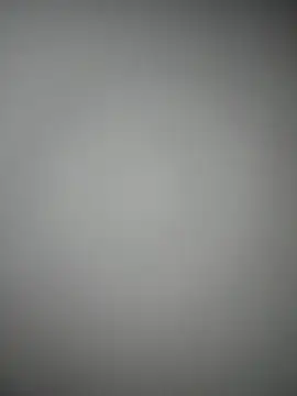 rosmeripelaes online show from November 24, 2:56 am