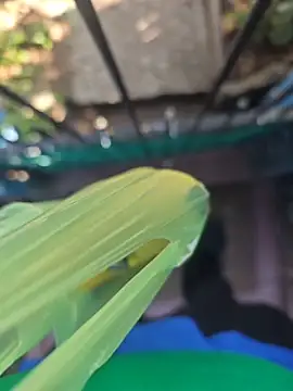 mbrc35 online show from April 13, 1:34 pm