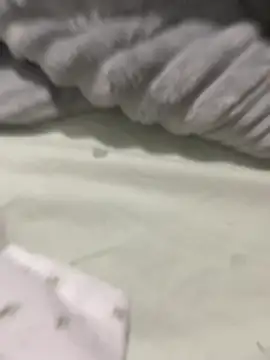 Dondeloquieras4 online show from February 9, 6:51 am