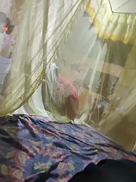 taylor1991V online show from November 24, 7:20 am