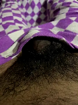 playboyoftelugu online show from November 5, 11:01 am