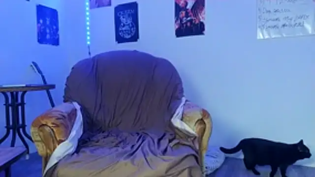 Huntall77 online show from December 21, 3:42 pm