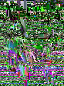 MEFUN- online show from February 22, 4:14 am