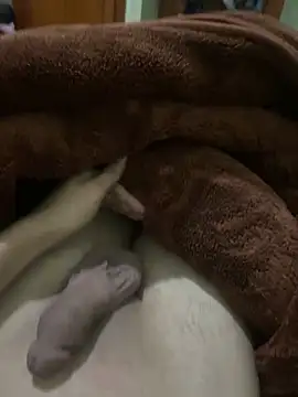 yassssst online show from December 19, 12:07 am