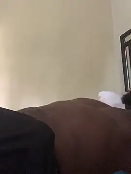 laperson online show from April 4, 11:40 am