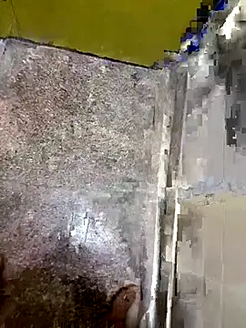 ray buny online show from November 26, 7:39 pm