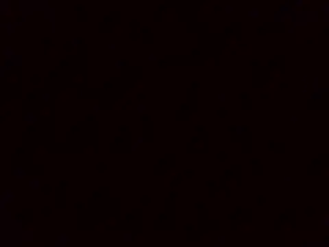 ray buny online show from November 25, 11:23 am