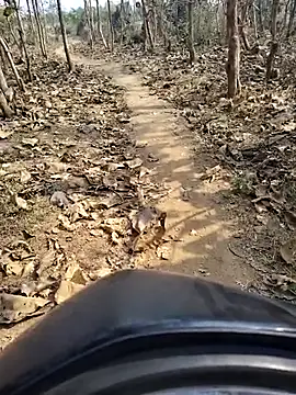 88zaifkhan88 online show from January 19, 4:59 am