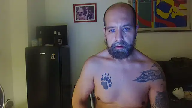 AMIRDIB2025 online show from July 15, 11:33 pm