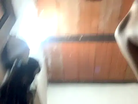 Jehasa two online show from November 29, 7:54 am