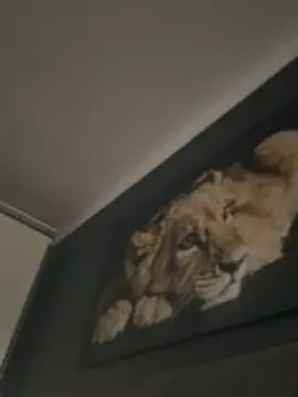 Alexmarcov online show from December 14, 11:50 am