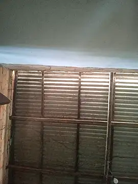 gingavi online show from January 6, 7:18 pm