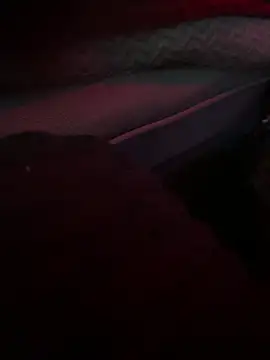 BoMale online show from February 25, 2:23 am