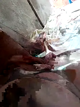 beterrabapreta online show from January 15, 11:47 am