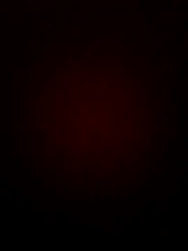 negrim10 online show from February 7, 6:35 pm