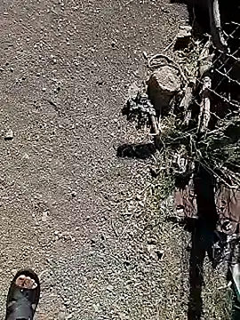 Cute Boy 4 online show from April 14, 3:39 am