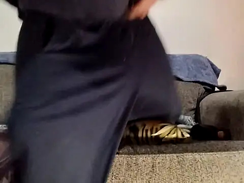 AERIALCLOVER online show from February 24, 12:17 pm