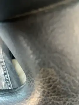 stallone italiano 62 online show from April 11, 5:38 pm