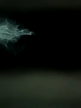 maharashtra boy mh19 online show from March 18, 8:45 pm