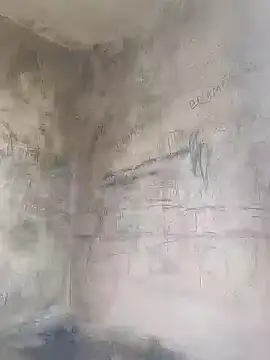 Ankitahd online show from March 26, 9:24 am