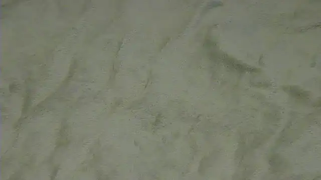 CrazyTo online show from February 21, 10:05 am