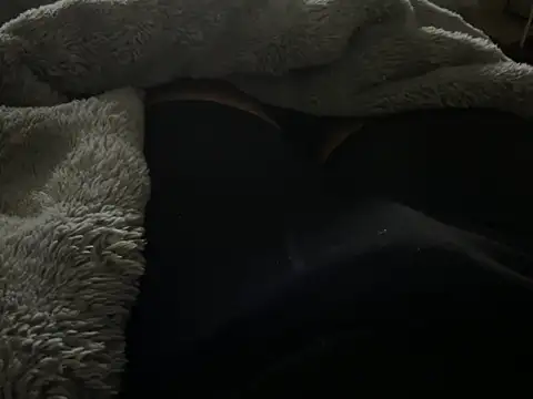 kakarot241515 online show from March 7, 3:48 am