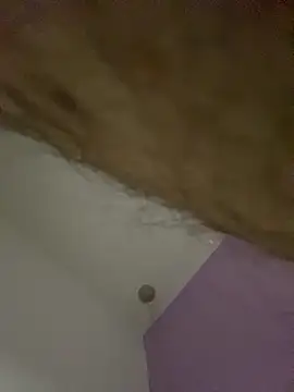 dimitri25987 online show from April 17, 7:33 am