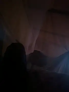 Ca na99 online show from February 26, 7:10 am