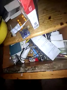 wolf297 online show from June 3, 2:57 am