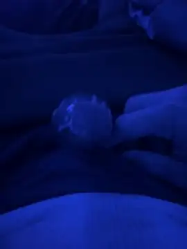 crossroad25 online show from March 22, 5:45 am