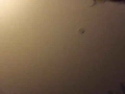 Bigboadick online show from June 15, 8:56 pm
