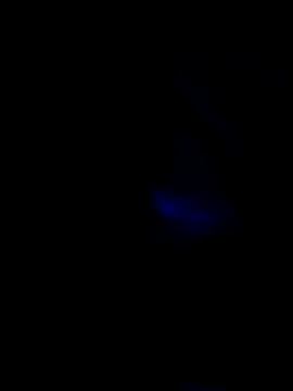 MetSuntan online show from May 11, 6:16 pm