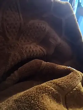 sexy-girl147 online show from April 5, 9:11 pm