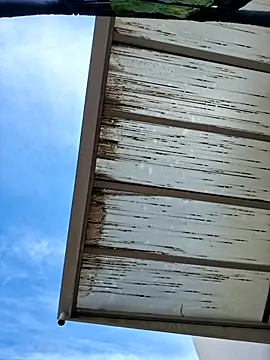 HaqqurSerpian online show from July 8, 3:16 pm