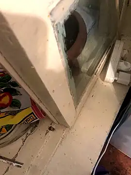 katilikat online show from April 17, 11:40 pm