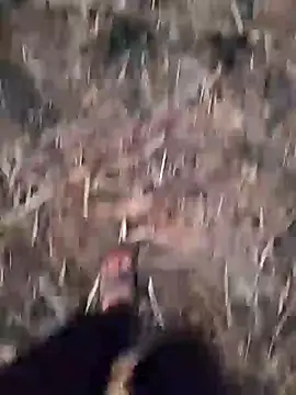 ThethunderPo online show from December 24, 11:49 am