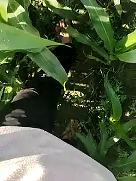 ThethunderPo online show from March 19, 2:48 am