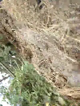 ThethunderPo online show from February 21, 11:44 am