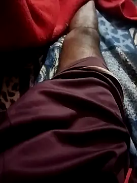 Bengali BULL1 online show from October 26, 10:17 am