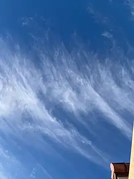 rusharizona online show from February 24, 4:04 pm