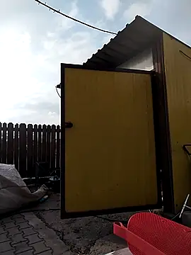 sarpe4 online show from March 22, 6:51 am