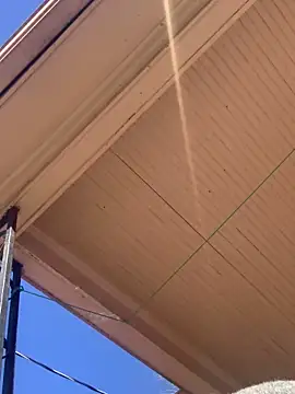 Snapshot of Tristris100 chatting on February 24, 8:03 pm Tristris100 online show from February 24, 8:03 pm