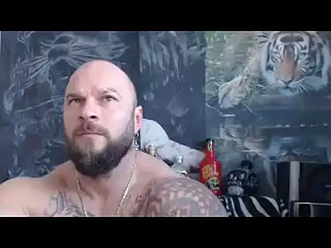 viking 30 online show from April 17, 5:32 am