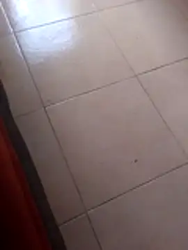 Robhalford33 online show from January 6, 7:07 pm