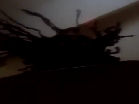 PrinceNoAlbert online show from September 11, 12:37 pm