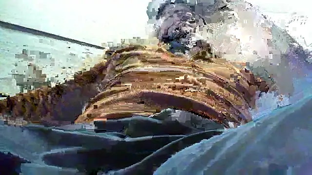 Billywax online show from January 8, 9:14 am